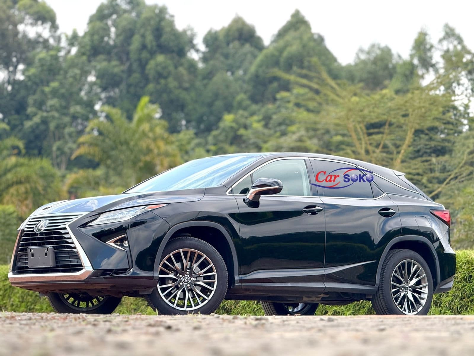 2018 Lexus RX 300 - Nairobi